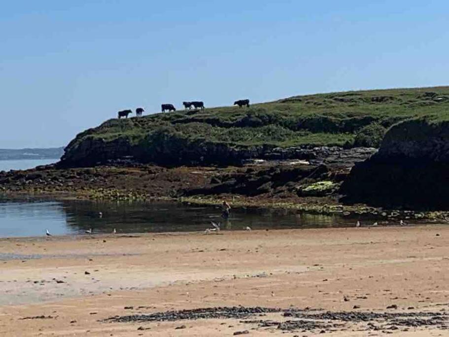 Bumblebee Cottage Donegal Town Ngoại thất bức ảnh