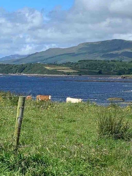 Bumblebee Cottage Donegal Town Ngoại thất bức ảnh